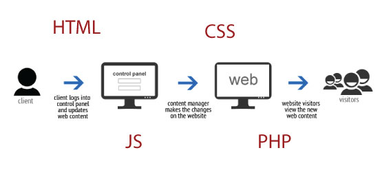web development in vijayawada